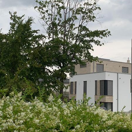 Mosaikhaus Smart Home Würselen Exteriér fotografie