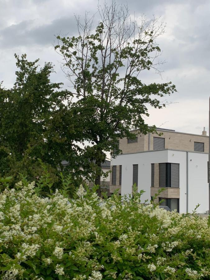 Mosaikhaus Smart Home Würselen Exteriér fotografie